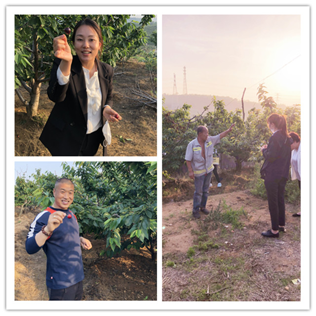 彩运网(中国游)官方网站