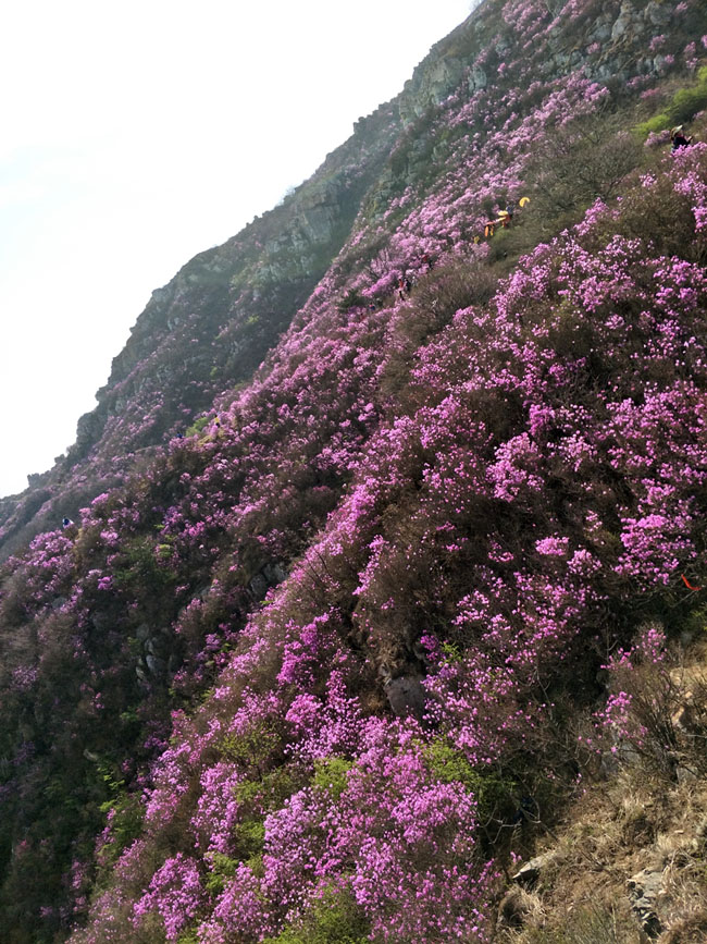 彩运网(中国游)官方网站