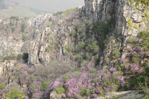 彩运网(中国游)官方网站