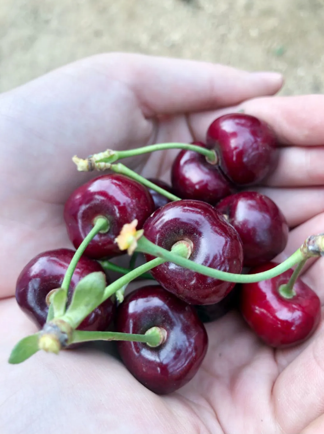 彩运网(中国游)官方网站